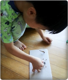 À̹ÌÁö½æ³×ÀÏ 58x58