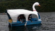 À̹ÌÁö½æ³×ÀÏ 58x58