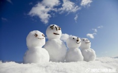 À̹ÌÁö½æ³×ÀÏ 58x58