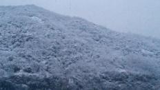 À̹ÌÁö½æ³×ÀÏ 58x58