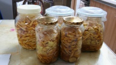 À̹ÌÁö½æ³×ÀÏ 58x58