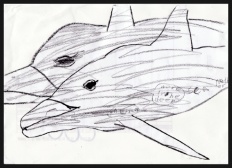 À̹ÌÁö½æ³×ÀÏ 58x58