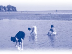 À̹ÌÁö½æ³×ÀÏ 58x58