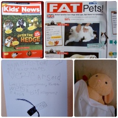 À̹ÌÁö½æ³×ÀÏ 58x58