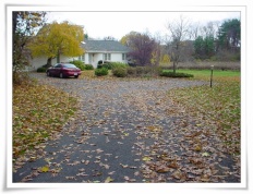 À̹ÌÁö½æ³×ÀÏ 58x58