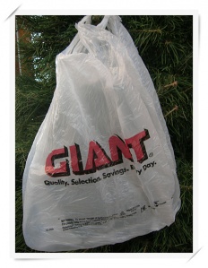 À̹ÌÁö½æ³×ÀÏ 58x58