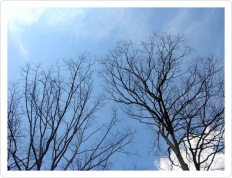 À̹ÌÁö½æ³×ÀÏ 58x58