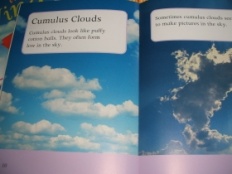 À̹ÌÁö½æ³×ÀÏ 58x58