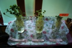 À̹ÌÁö½æ³×ÀÏ 58x58