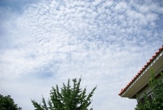 À̹ÌÁö½æ³×ÀÏ 58x58