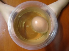 À̹ÌÁö½æ³×ÀÏ 58x58