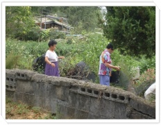 À̹ÌÁö½æ³×ÀÏ 58x58