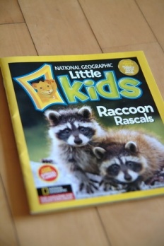 À̹ÌÁö½æ³×ÀÏ 58x58