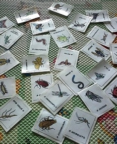 À̹ÌÁö½æ³×ÀÏ 58x58