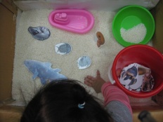 À̹ÌÁö½æ³×ÀÏ 58x58