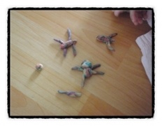 À̹ÌÁö½æ³×ÀÏ 58x58