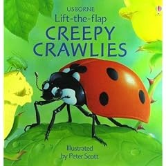 Creepy Crawlies (Usborne Lift-the-Flap Learners)