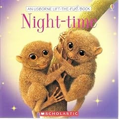 Night-Time (An Usborne Lift-the-Flap Book)