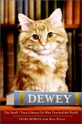 Dewey
