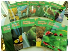 À̹ÌÁö½æ³×ÀÏ 58x58