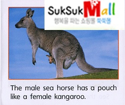 º»¹®À̹ÌÁö4