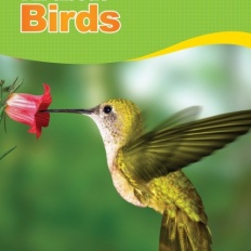 À̹ÌÁö½æ³×ÀÏ 58x58