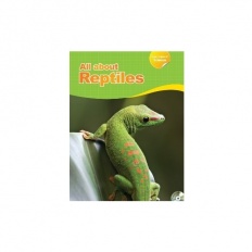 À̹ÌÁö½æ³×ÀÏ 58x58