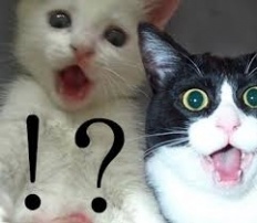 À̹ÌÁö½æ³×ÀÏ 58x58