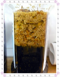 À̹ÌÁö½æ³×ÀÏ 58x58