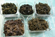 À̹ÌÁö½æ³×ÀÏ 58x58