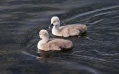 À̹ÌÁö½æ³×ÀÏ 58x58