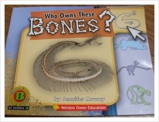 À̹ÌÁö½æ³×ÀÏ 58x58