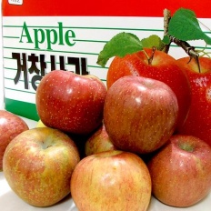 À̹ÌÁö½æ³×ÀÏ 58x58