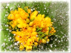 À̹ÌÁö½æ³×ÀÏ 58x58