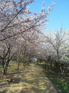 À̹ÌÁö½æ³×ÀÏ 58x58