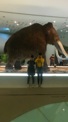 À̹ÌÁö½æ³×ÀÏ 58x58