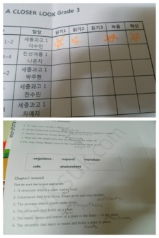 À̹ÌÁö½æ³×ÀÏ 58x58