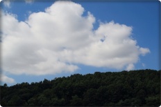 À̹ÌÁö½æ³×ÀÏ 58x58