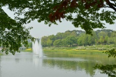 À̹ÌÁö½æ³×ÀÏ 58x58