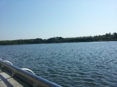 À̹ÌÁö½æ³×ÀÏ 58x58