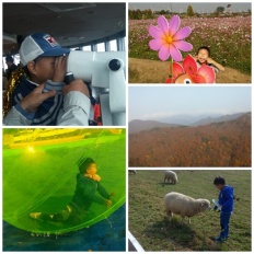 À̹ÌÁö½æ³×ÀÏ 58x58