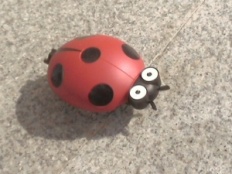 À̹ÌÁö½æ³×ÀÏ 58x58