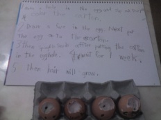 À̹ÌÁö½æ³×ÀÏ 58x58